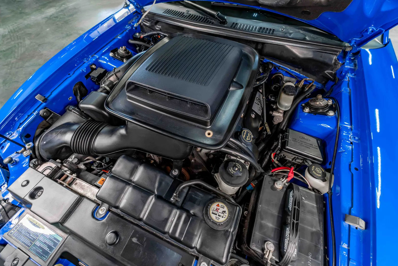2003-Ford-Mach 1-Azure Blue-1FAFP42R03F422950-43.jpg